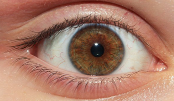 Clear Iris Photo Example