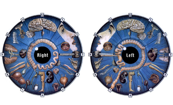 my iridology image 3